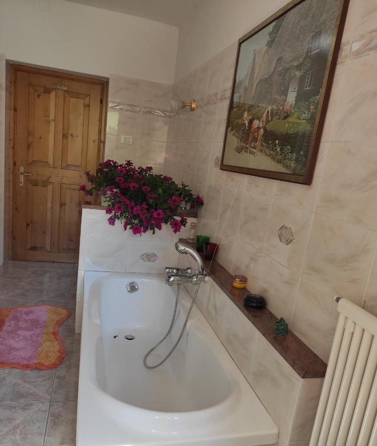 Apartament Casa "Berto E Costantina" Tregiovo Zewnętrze zdjęcie